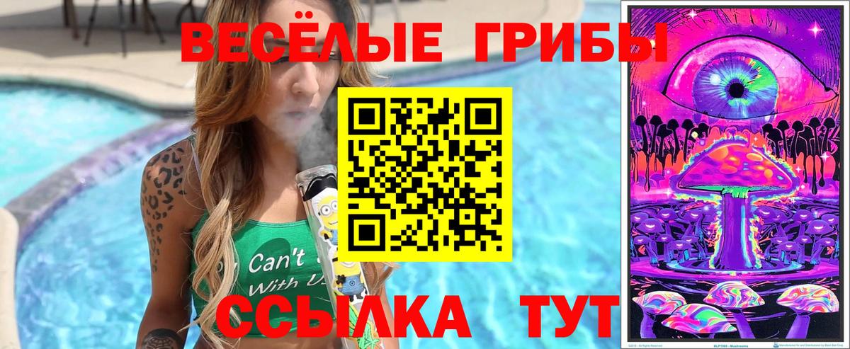 Галлюциногенные грибы Psilocybe Дятьково