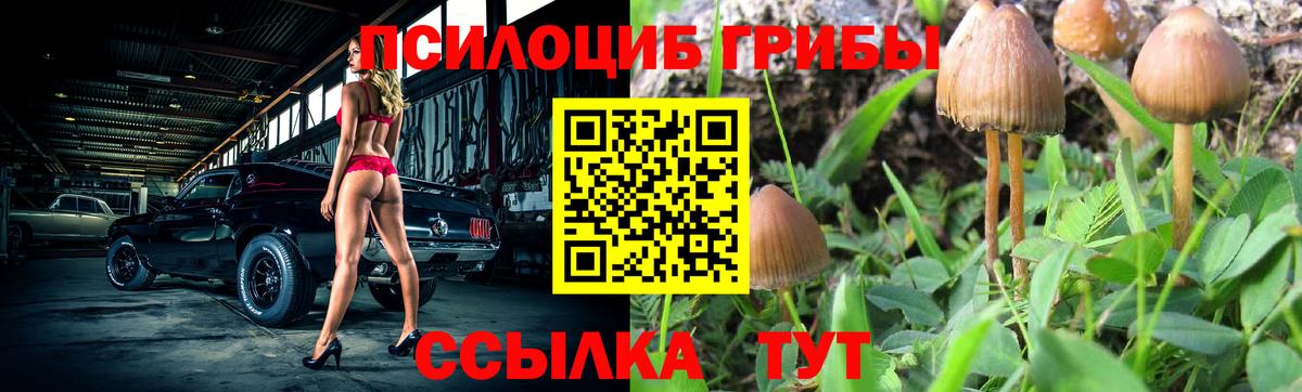 Псилоцибиновые грибы прущие грибы  Вход с VPN  где купить наркотик  Дятьково 